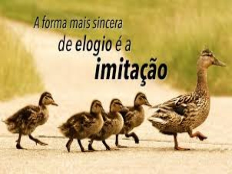 Estrutura instintiva da imitação em grupo