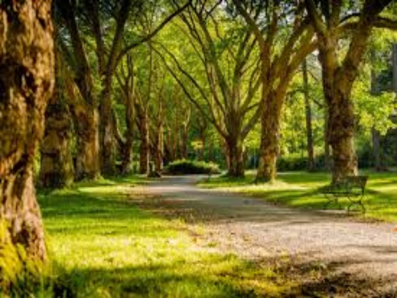 Natureza das multidões e sua força psicológica